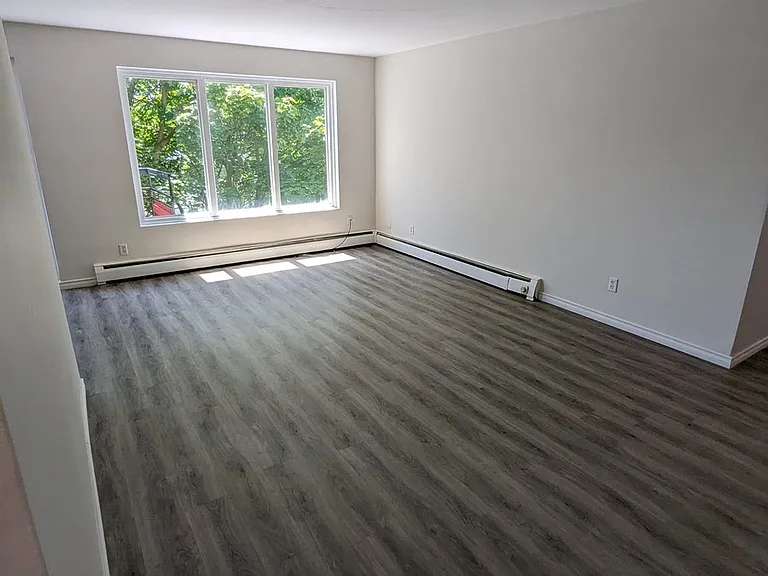 236 Louisa St #9B — Photo 3