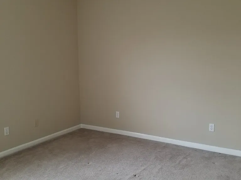107 Hall Hill Ct — Photo 13