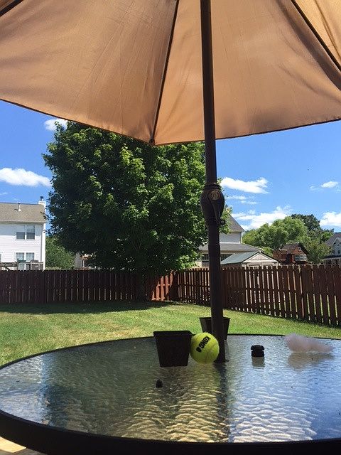 2nd image of 2756 Elston Brae Dr