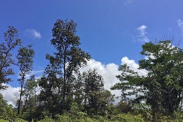 1st image of Makuu Dr Lot 1089