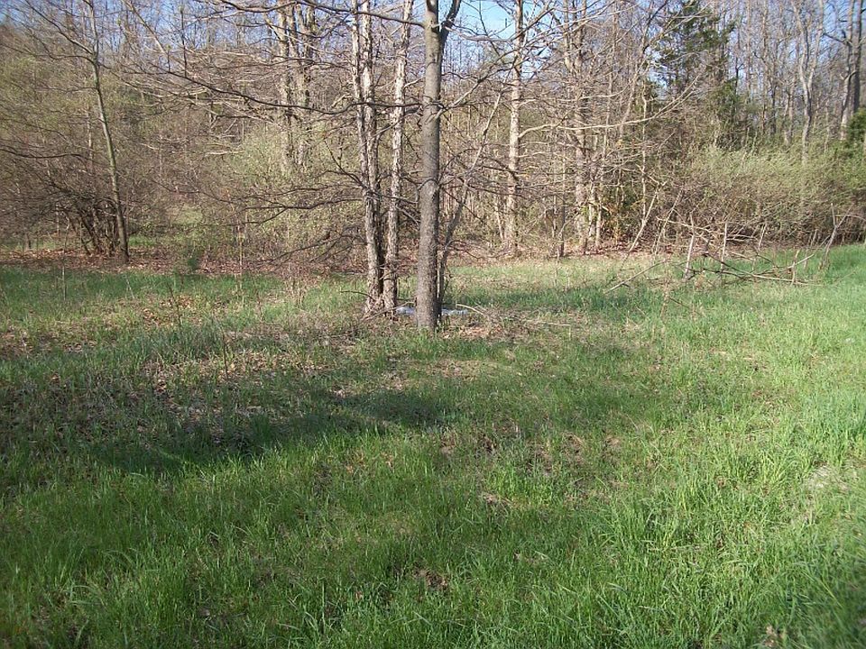 2nd image of County Road 390
