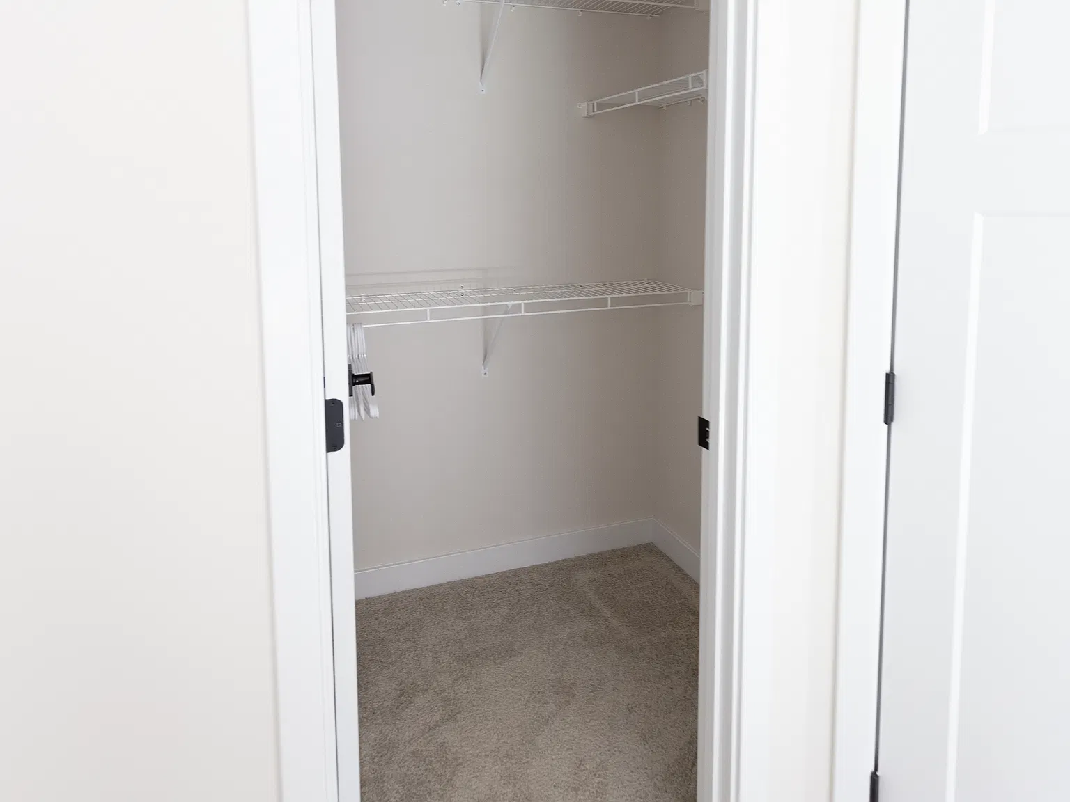 3 bed, 1767 sqft, $3,000 — Photo 2