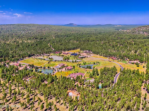 9581 Sierra Springs Dr, Pinetop, AZ 85935