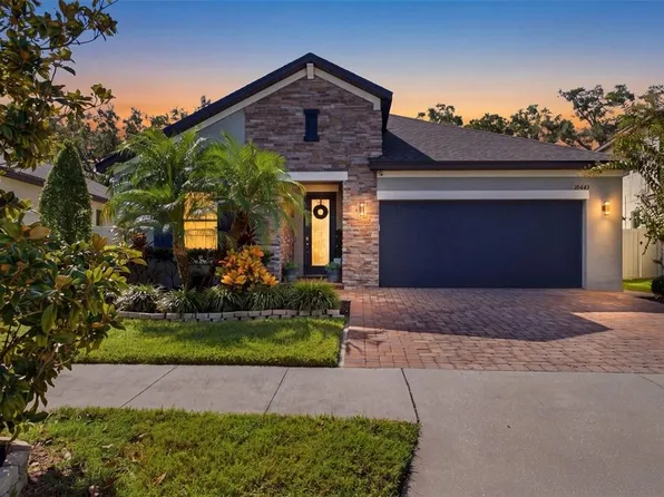 10443 ALCON BLUE DRIVE, RIVERVIEW, FL 33578