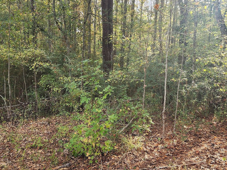0 Pine Valley Rd LOT 5, Meansville, GA 30256 MLS 10217641 Zillow