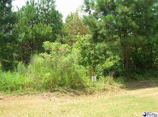 LOT 3 Drakes Nest Ln, Darlington, SC 29532