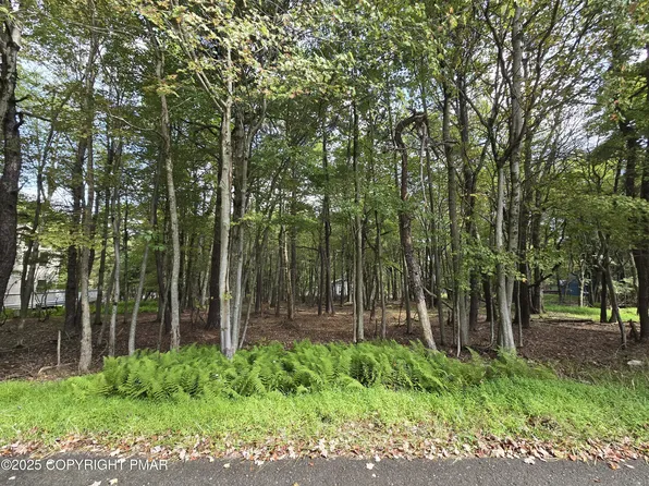 Ev504 Hunt Trl, Albrightsville, PA 18210