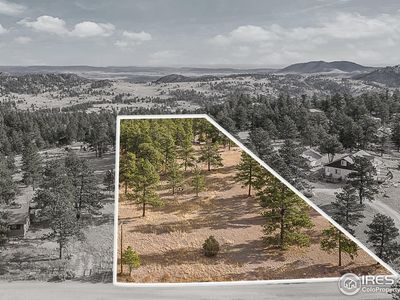 92 Mount Massive Dr, Livermore, CO, 80536