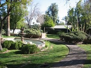 Backyard/Fountain