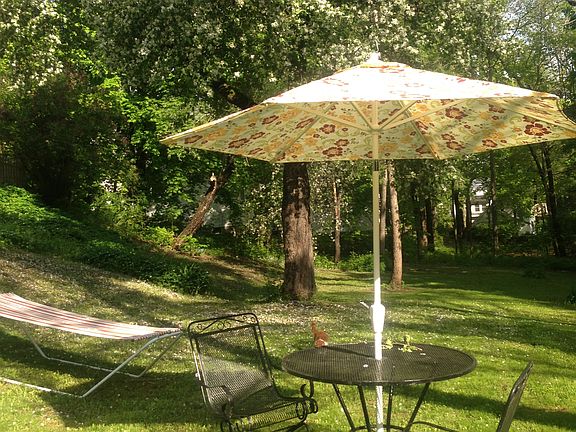 Lower back yard w/apple tree