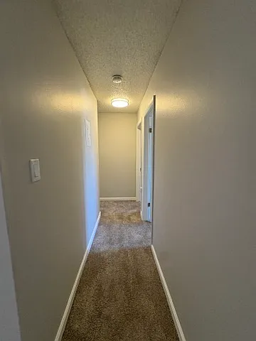 Condor St, Colorado Springs — Photo 3