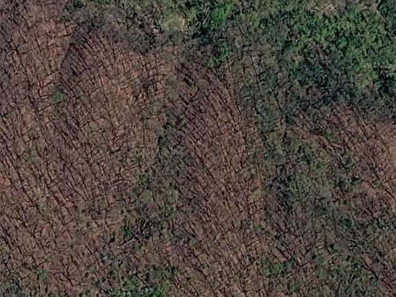 4th image of 7439 S Panther Creek Rd