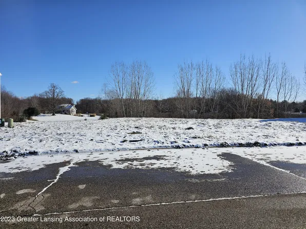 5609 Ladderback Dr, Holt, MI 48842