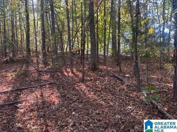 19 Dogwood Rdg #19, Wedowee, AL 36278