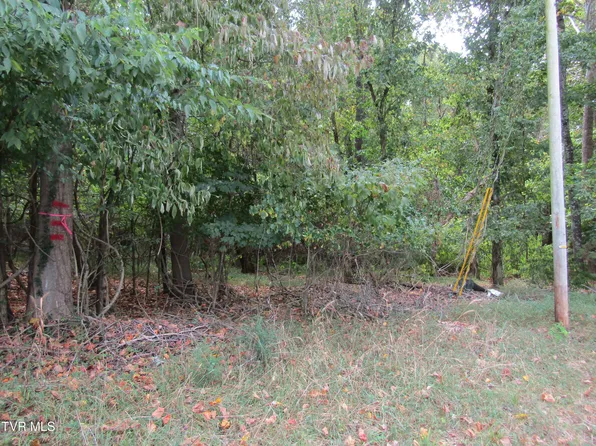 0 Baywood Dr Lot 2, Piney Flats, TN 37686