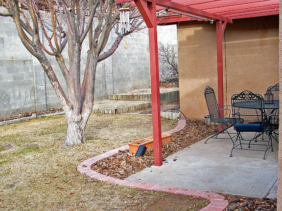 Back yard