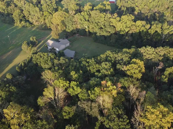8339 Nixon Chapel Rd, Horton, AL 35980
