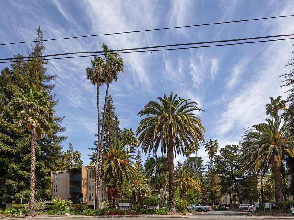 Paradise awaits - this could be your new home. Quiet and friendly