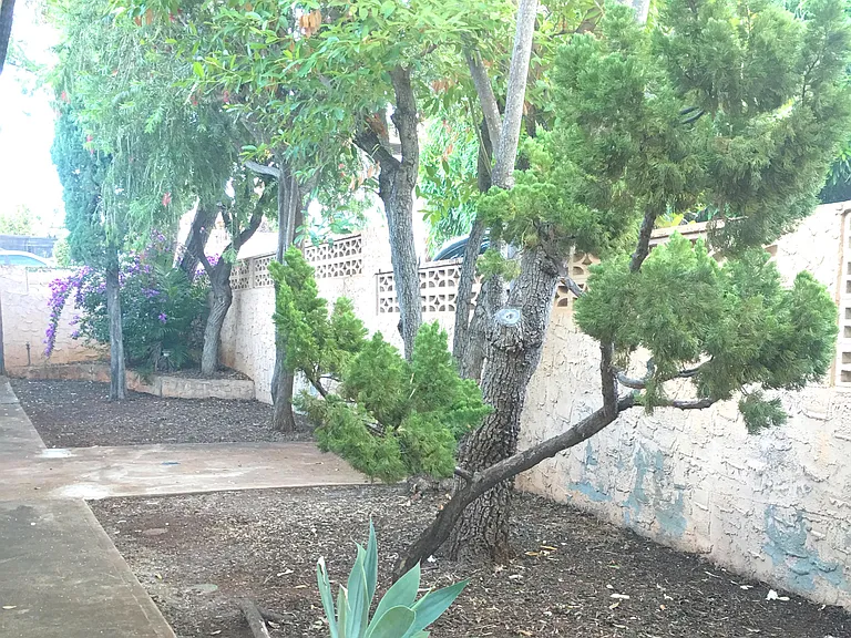 Olu St — Photo 16