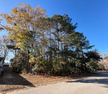 222 Jasmine Dr, Summerville, SC, 29483