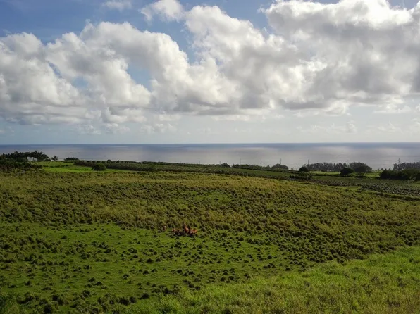 Opua Rd Lot 11, Pepeekeo, HI 96783