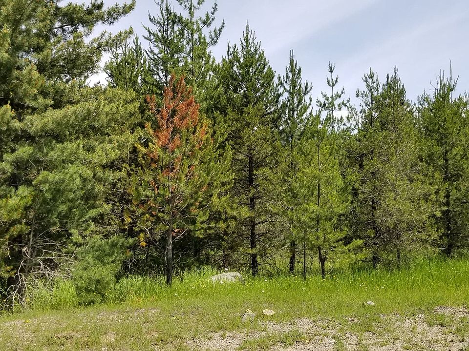 1st image of 161 Miss Kitty Ln