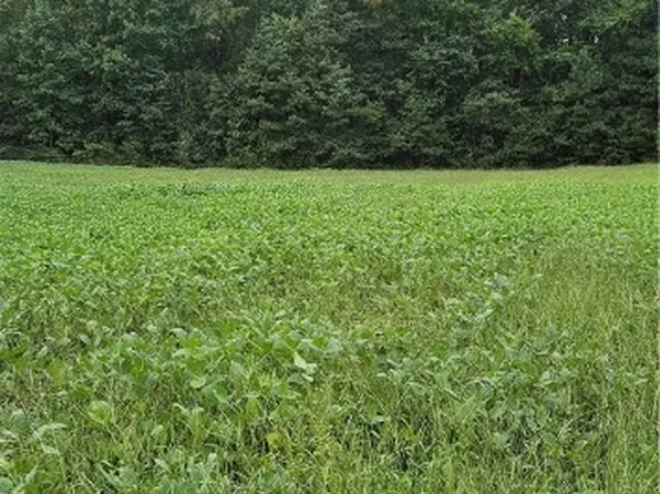 0 Old Cryors Rd, Mc Kenney, VA 23872