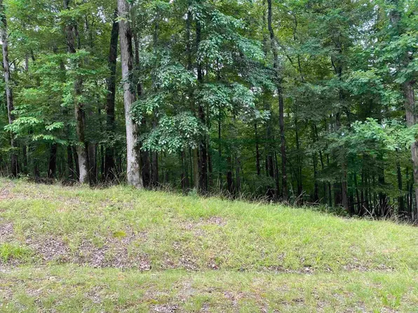 1016 Arlington Poin, Hot Springs National Park, AR 71913