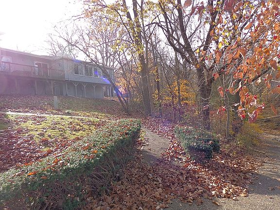 View of trail access