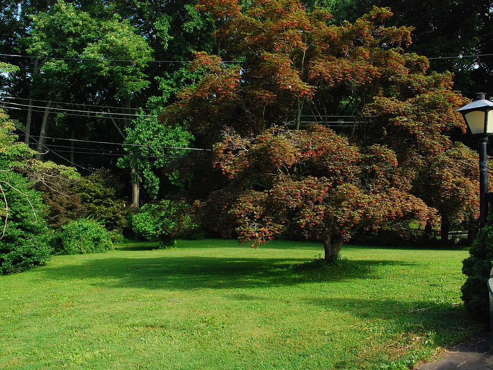 2nd image of 704 Winchester Rd