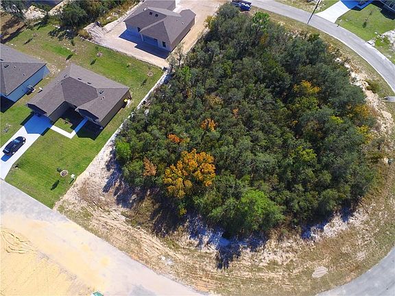 2nd image of 116 Sweet Pea Ct