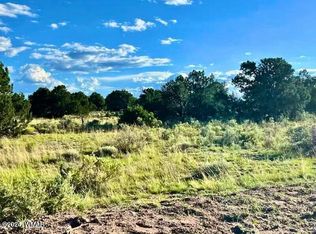 40 County Road 6488, Saint Johns, AZ 85936