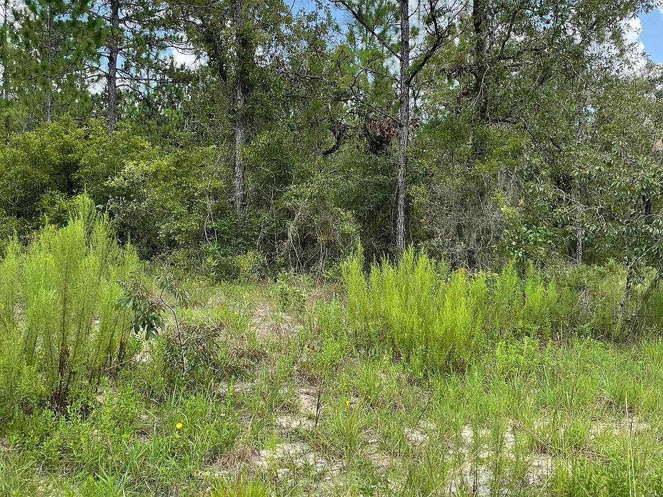 2nd image of 0 Chicaric Rd