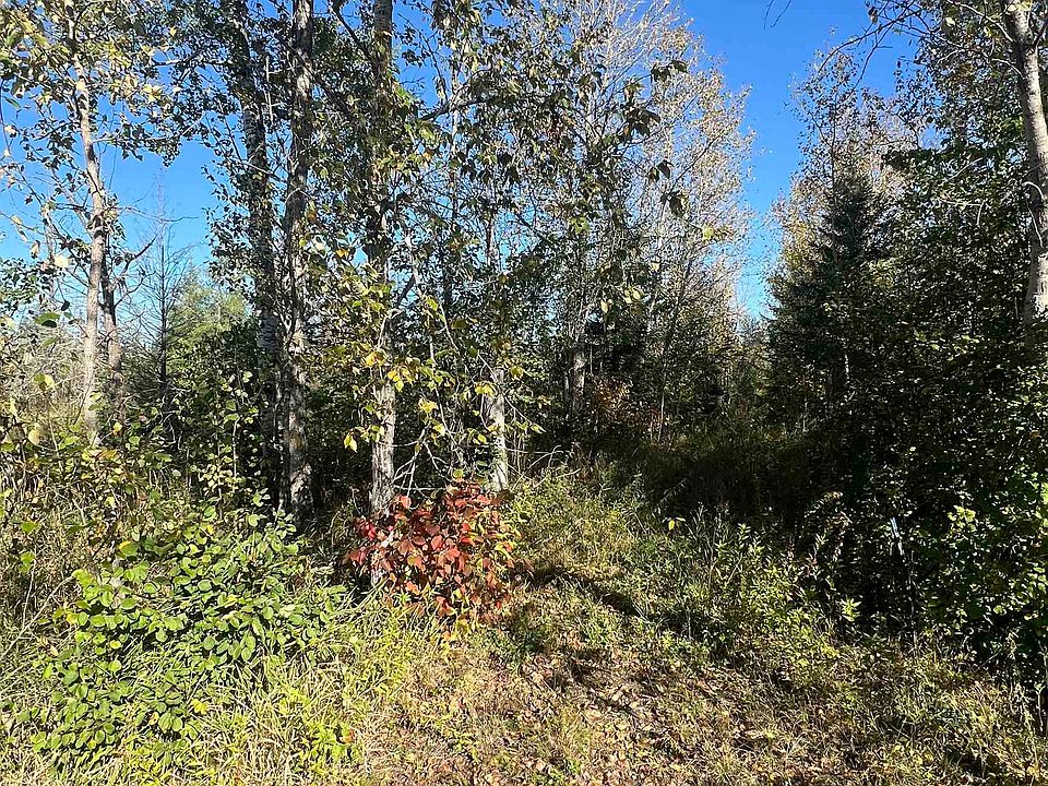 2nd image of XXX Hwy 133