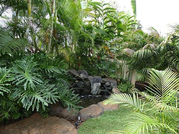 Koi pond off the living room lanai