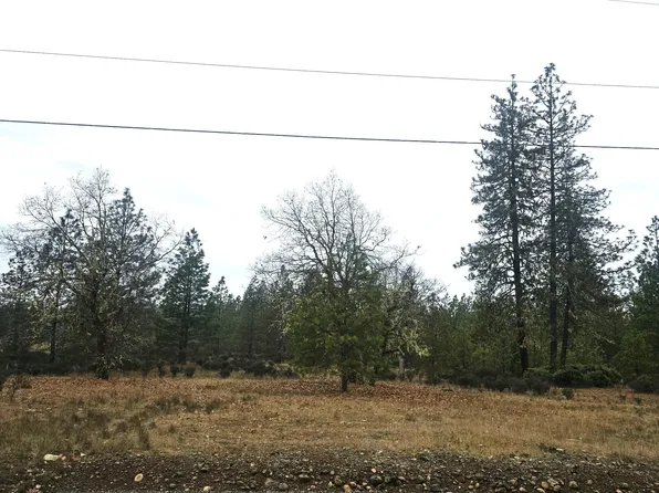 5322 Rockydale Rd, Cave Junction, OR 97523