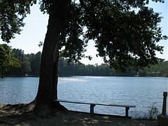 2nd image of 72 Pleasant Pond Rd