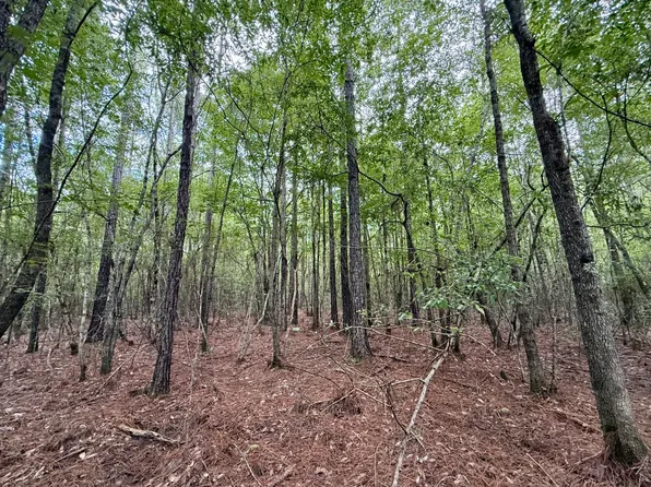 0 Container Corp Of America Rd, Perdido, AL 36562