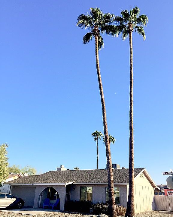 1st image of 3561 W Galveston St
