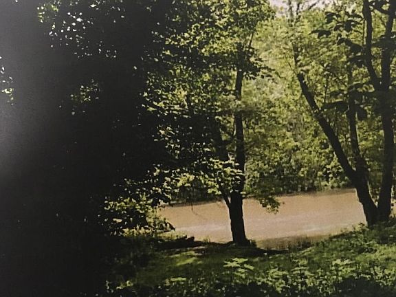 4th image of 3455 Clinch River Hwy
