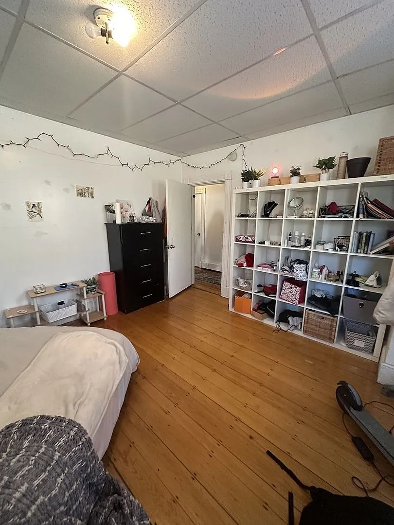 48 Fisher Ave #1A Boston MA 02120 — Photo 3