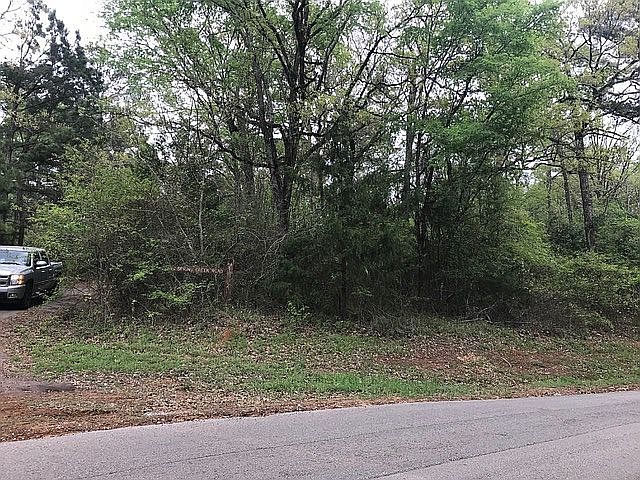 2nd image of 0 Spring Creek Rd