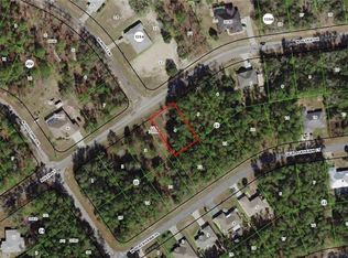 10501 N Adler Dr, Citrus Springs, FL 34434