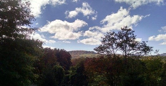 4th image of 1319 Memorial Park Dr