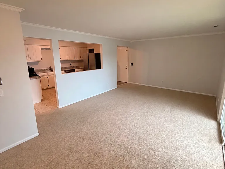 2390 Bicentennial Ave #8 — Photo 3