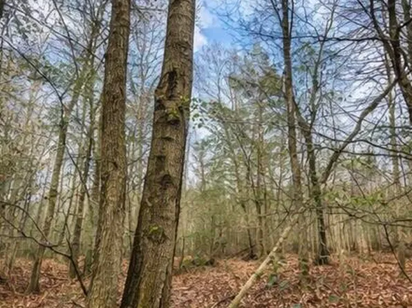 Humming Bird Dr, Carrollton, AL 35447