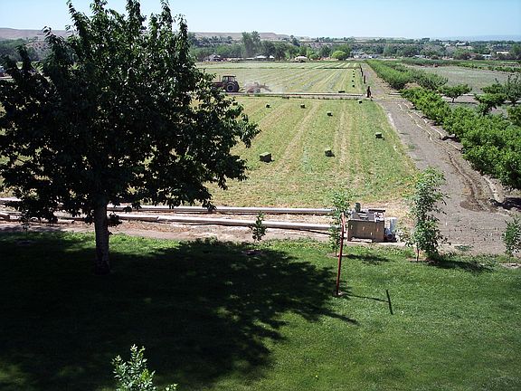 Back yard looking south