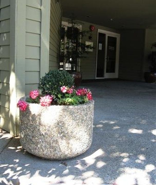 1st image of 1599 S Novato Blvd APT 304