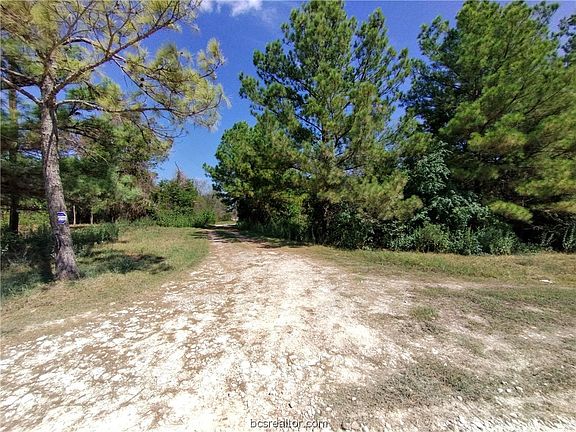 4th image of 4102 Dick Barnes Loop