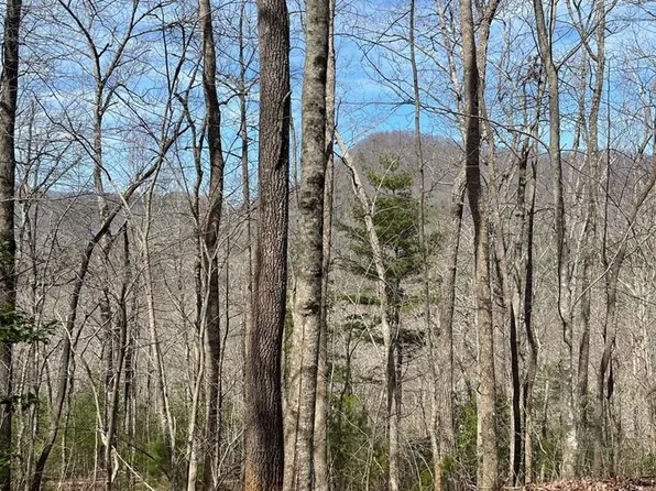 6 Owl Creek Rd, Hiawassee, GA 30546